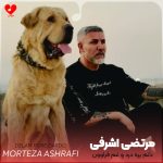 دانلود آهنگ دلم پره درد و غم فراوون (اصلی + 2 ریمیکس)