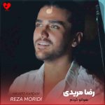دانلود آهنگ تو دل بروی خواستنی هواتو کردم