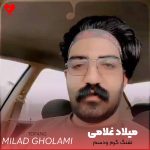 تفنگ گرم ودسم