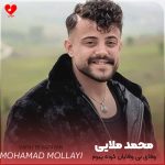 دانلود آهنگ وفای بی وفایان کرده پیرم (تمام اجراها)
