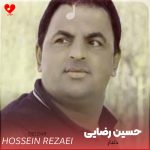 دلدار حسین رضایی