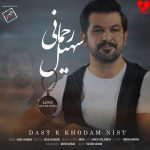 کاور آهنگ دست خودم نیست از سهیل رحمانی