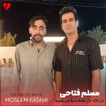 دل اگه دل باشه دنبالش نمیره