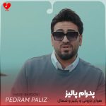 دانلود آهنگ هوای بارونی و پاییز و شمال و باد سرد