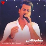 دل به صدای در میزنه هی پرپر