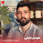هومن نجفی ستاره