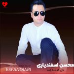 گل کدخدا زاده محسن اسفندیاری