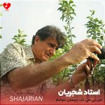 من بی می ناب زیستن نتوانم