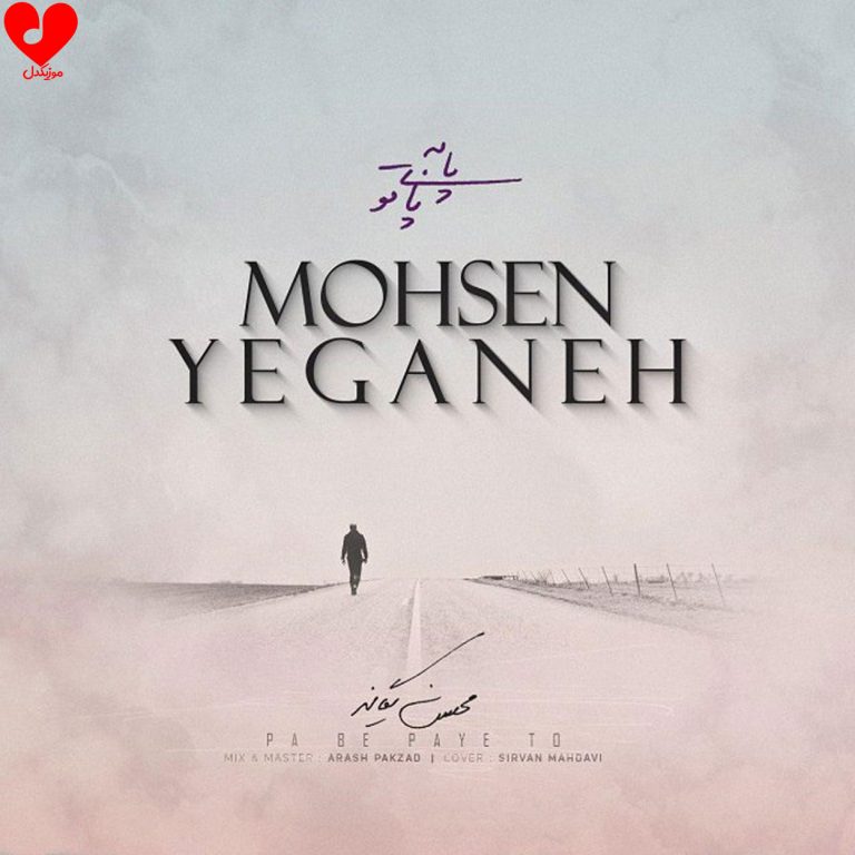 پا به پای تو cover