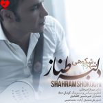 دانلود آهنگ دلبر طناز از شهرام شکوهی (نکن تو هی ناز دلبر طناز)