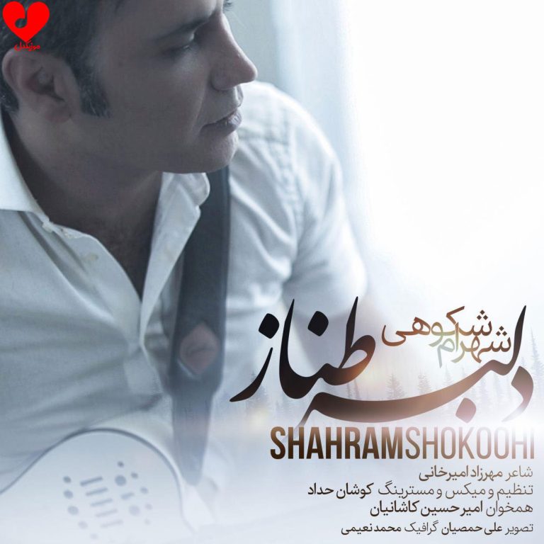 دلبر طناز cover