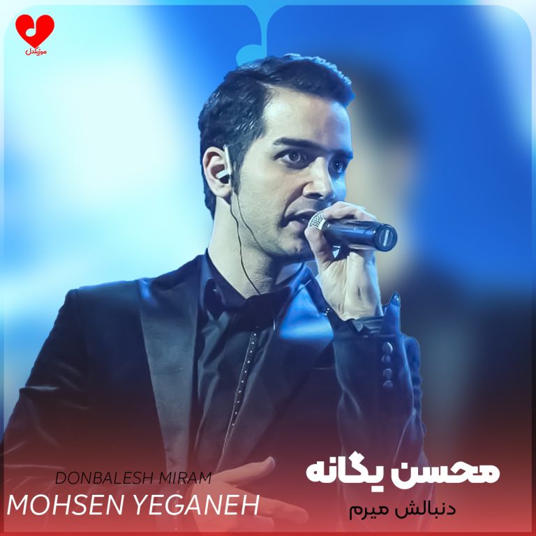 دنبالش میرم cover