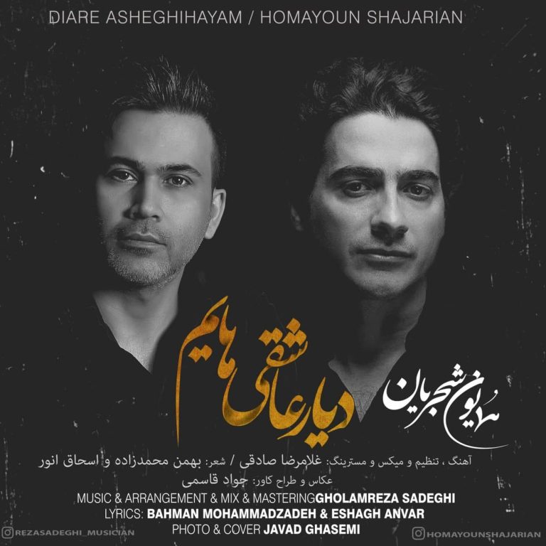 دیار عاشقی هایم cover