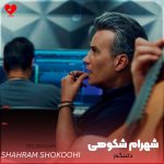 دانلود آهنگ دلتنگم از شهرام شکوهی (دل دل دلتنگم با همه دنیا میجنگم)