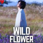 wild flower rm