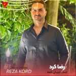 تو می سردارو تیسه جنگ چریکی کمه