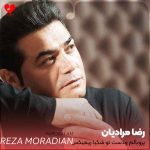 دانلود آهنگ پرو بالم و دست تو شکیا (اصلی + ریمیکس)