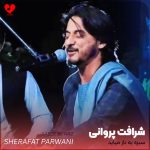سبزه به ناز می آید