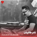 قاشلارین قاراسینا هاوار هاوار