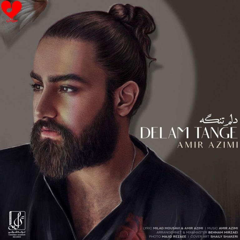 دلم تنگه cover