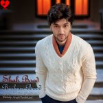 شب بود بیابان بود زمستان بود