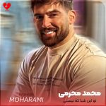 دانلود آهنگ تو این شبا که نیستی تو منم درگیر دلتنگی