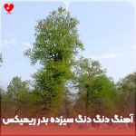 دانلود آهنگ مازندرانی دنگ دنگ او دنگ سر امسال بهار سیزده بدر ریمیکس از حسین رضایی