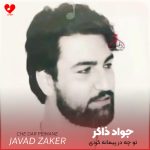 دانلود مداحی تو چه در پیمانه کردی از سید جواد ذاکر