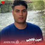 دانلود آهنگ تو دلی از امین فالجی (اصلی + ریمیکس)