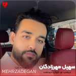 دانلود آهنگ دیشب تو خواب دیدمت بارون بودو عطر بوی پیرهنت + 2 ریمیکس