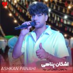 دانلود آهنگ یه زمون کار من این بود مثل دیوونه ها (تمام اجراها + ریمیکس)