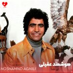دانلود آهنگ ای خدا از هوشمند عقیلی