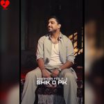 دانلود آهنگ شیک و پیک از شهاب فالجی