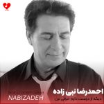 دانلود آهنگ دیگه از دوست دارم حرفی نزن (تمام اجراها + ریمیکس)