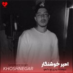دانلود آهنگ نیومده بردی تو دلمو تو دوای دردمی همیشه خب
