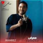 دانلود آهنگ دل به دریا زده بودم که براش ماهی بیارم از ممرض