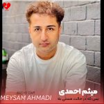 دانلود آهنگ بس که در حالت مستی به دروغ افتادیم از میثم احمدی