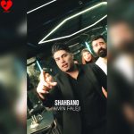 دانلود آهنگ شاه بانو از امین فالجی