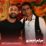 دانلود آهنگ بی تو از فاصله دور دلم میگیرد از میثم احمدی