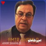 دانلود آهنگ دلشکسته از امیر شاملو