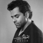 دانلود آهنگ همدم از رضا بهرام (ای همدم شب های سردم)