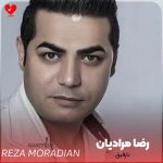 دانلود آهنگ ولم بکو ای بد مصو (نارفیق رضا مرادیان)