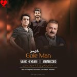 دانلود آهنگ گل من از وحید حیدری و جهانبخش کرد