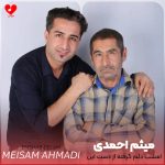 دانلود آهنگ امشب دلم گرفته از دست این زمونه از میثم احمدی