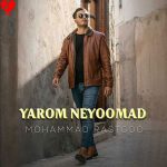 دانلود آهنگ یارم نیومد از محمد راستگو