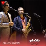 کاور آهنگ بی خوابی از دنگ شو