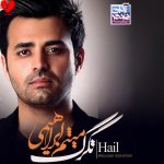 دانلود آلبوم تگرگ از میثم ابراهیمی