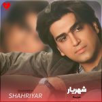 دانلود آهنگ غریبه از شهریار