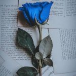 دانلود آهنگ رز آبی من غم تو غصه هامی از امیر رحیمی و پارسا