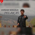 دانلود آهنگ پلاک 85 (اصلی + ریمیکس) از احسان شیدا